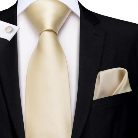 Champagne Ivory Solid 2023 New Elegant Mens Ties Hanky Cufflink Silk Necktie For Men Wedding Party Business Fashion Brand Hi-Tie