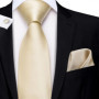 Champagne Ivory Solid 2023 New Elegant Mens Ties Hanky Cufflink Silk Necktie For Men Wedding Party Business Fashion Brand Hi-Tie