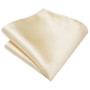Champagne Ivory Solid 2023 New Elegant Mens Ties Hanky Cufflink Silk Necktie For Men Wedding Party Business Fashion Brand Hi-Tie