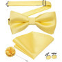 Hi-Tie Luxury Gold Silk Bow Ties for Men Fashion Men's Yellow Bowtie Handkerchief Cufflinks Brooch Set butterfly Wedding Set