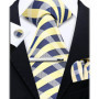 Elegant Ties For Men Paisley Striped Men Luxury Necktie Set Handchief Cufflinks 3 Pcs For mens Business Wedding Suit Accessories