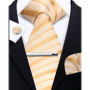 Elegant Ties For Men Paisley Striped Men Luxury Necktie Set Handchief Cufflinks 3 Pcs For mens Business Wedding Suit Accessories