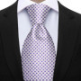 Newest Style Dropshipping Necktie Man Dot Luxury Striped Business Neck Tie Performance Tie Cravat Wedding Party Necktie Gift