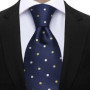 Newest Style Dropshipping Necktie Man Dot Luxury Striped Business Neck Tie Performance Tie Cravat Wedding Party Necktie Gift