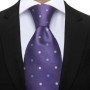 Newest Style Dropshipping Necktie Man Dot Luxury Striped Business Neck Tie Performance Tie Cravat Wedding Party Necktie Gift