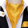 Hi-Tie Brand Silk Mens Ascot Hanky Cufflinks Set Jacquard Paisley Floral Vintage Cravat Tie Wholesale for Male Wedding Business