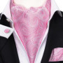 Hi-Tie Brand Silk Mens Ascot Hanky Cufflinks Set Jacquard Paisley Floral Vintage Cravat Tie Wholesale for Male Wedding Business