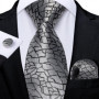 New Sliver Grey Plaid Striped Ties for Men 150cm Business Wedding Neck Tie Pocket Square Cufflinks Party Accessories