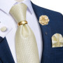 Grey Dot Plaid Striped Paisley Silk Ties for Men Business Wedding Party Men Groom Accessories Cravat Gift for Husband Wholesale