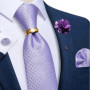 Grey Dot Plaid Striped Paisley Silk Ties for Men Business Wedding Party Men Groom Accessories Cravat Gift for Husband Wholesale