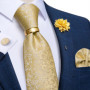 Grey Dot Plaid Striped Paisley Silk Ties for Men Business Wedding Party Men Groom Accessories Cravat Gift for Husband Wholesale