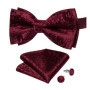 Man Pre-tied Bowtie Classic Wedding Bow Tie for Men Cufflinks Set for Party Striped Knot Butterfly Gift Man's Accessories