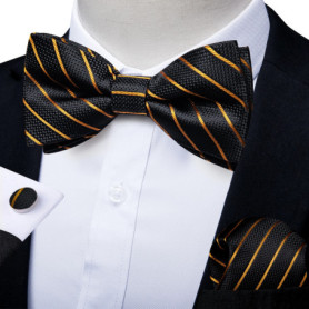 Man Pre-tied Bowtie Classic Wedding Bow Tie for Men Cufflinks Set for Party Striped Knot Butterfly Gift Man's Accessories