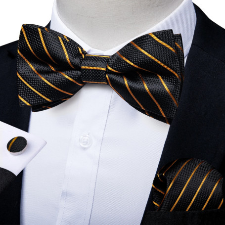 Man Pre-tied Bowtie Classic Wedding Bow Tie for Men Cufflinks Set for Party Striped Knot Butterfly Gift Man's Accessories