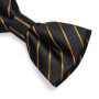 Man Pre-tied Bowtie Classic Wedding Bow Tie for Men Cufflinks Set for Party Striped Knot Butterfly Gift Man's Accessories