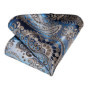 Blue Champagne Paisley Design Silk Wedding Tie For Men Handky Cufflink Gift Mens Necktie Fashion Business Party Dropship Hi-Tie