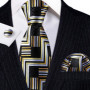 Men Tie Paisley Printed Necktie Gravata Neckwear Barry.Wang Fashion Set Ties For Men Formal Wedding Party Business Gift US-1230