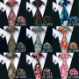 Men Tie Paisley Printed Necktie Gravata Neckwear Barry.Wang Fashion Set Ties For Men Formal Wedding Party Business Gift US-1230