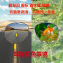 New Men Vintage pilot Polarized Sunglasses Classic Brand Sun glasses Coating Lens Driving Eyewear For Men Women