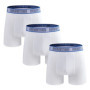 3 pieces/pack Mens Polyester Boxer Briefs Letter Belt Men's Panties New Boxers Underwear For Man Shorts Sexy Men Underpants