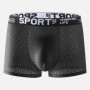 5Pcs/Lot Man Boxer Shorts Ice Silk Men's Underwear Summer Autumn Breathable Underpants U Convex Lingerie Breathable Sexy Panties