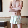 Large Size Men's Arrows Pants Summer Loose Panties Mens Boxers Underpants Homewear Shorts Fashion Youth Sports Short Pants Cueca