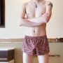 Large Size Men's Arrows Pants Summer Loose Panties Mens Boxers Underpants Homewear Shorts Fashion Youth Sports Short Pants Cueca