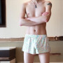 Large Size Men's Arrows Pants Summer Loose Panties Mens Boxers Underpants Homewear Shorts Fashion Youth Sports Short Pants Cueca