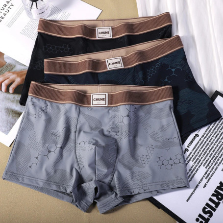  1/3PCS Fashion Print Knit Men's Panties Ice Silk Breathable Mesh Pouch Boxers Hombre Summer Cooling High Elastic Men Underwear