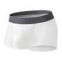 Men's Pouch Separate Underpants Ultrathin Ice Silk Boxers Breathable Panties Summer Cool Boxer Male Plus Size Slip Homme