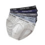 4Pcs Men's Briefs Mesh Silk Men's Underwear New 2020 Panties Men Bamboo Fiber Mens Bodysuit Male Comfortable Solid Underpants