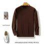 100 Pure Merino Wool Sweater Men's Round Collar Pullover Spring Autumn New Business Knitted Tops Casual Large Size Men's Shirt