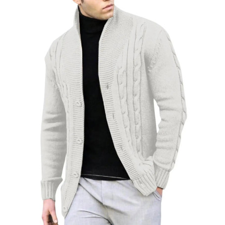 Cable Knit Stand Collar Cardigan Men's Casual Top Daily Commuting White Simple Versatile Solid Multi Color