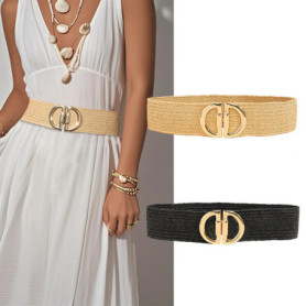 Fashion Elasticidad Belt Ladies Stretch Lady's Wide Waist Seal Coat Dress Decoration PP Grass Belt Corset Belts for Women Luxury