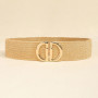 Fashion Elasticidad Belt Ladies Stretch Lady's Wide Waist Seal Coat Dress Decoration PP Grass Belt Corset Belts for Women Luxury