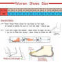 2025 Summer Women's Sandals Roman Sexy Open Toe Shoes Comfortable Womens Flat Shoesoutdoor Beach Slip on New Sandalias Femininas